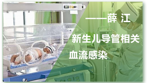 新生儿导管相关血流感染